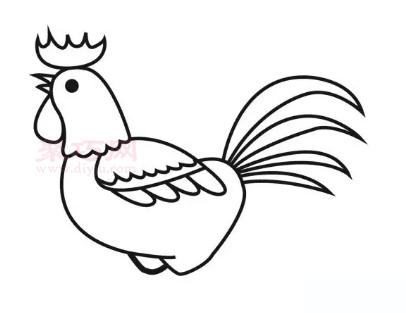 简笔画公鸡的画法图片