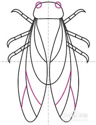 蝉手绘图片简笔画图片