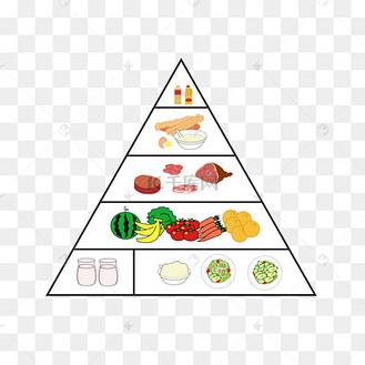 食品金字塔表手抄报图片
