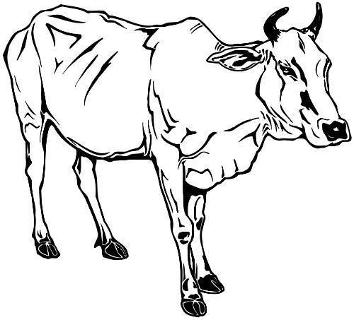 东巴画的牛怎么画图片