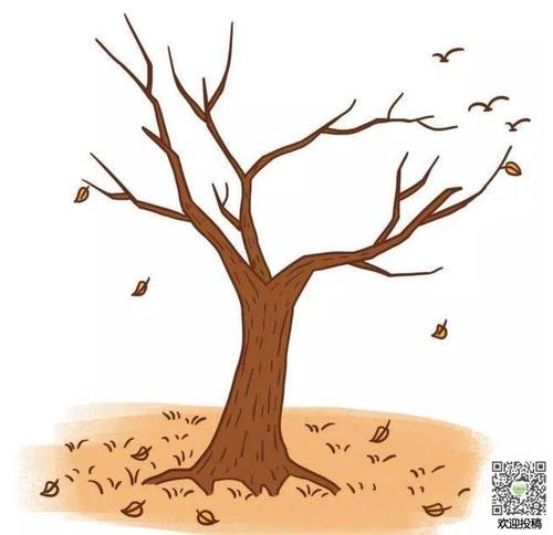 落叶树的画法图片