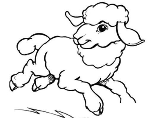 小羊喝水简笔画图片