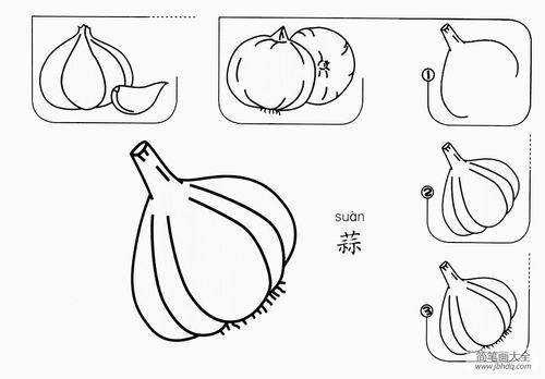 蒜苔简笔画图片图片