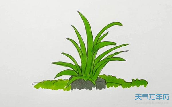 青草的简笔画