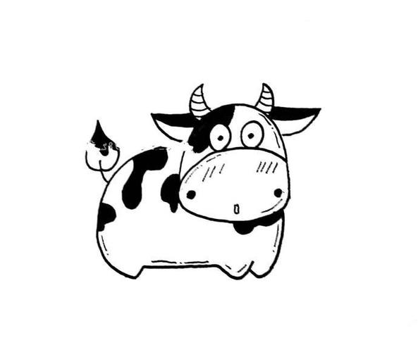 黑白花奶牛简笔画图片