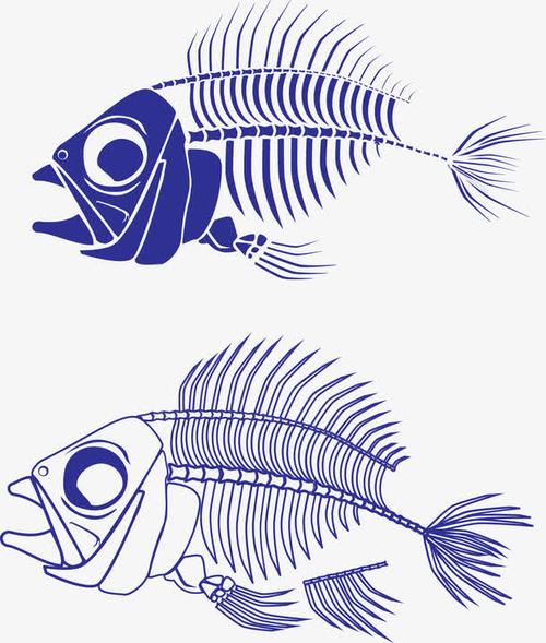 豎屏 strong>魚刺簡筆畫 /strong>圖片大全-在線圖片欣賞貓魚骨頭簡筆