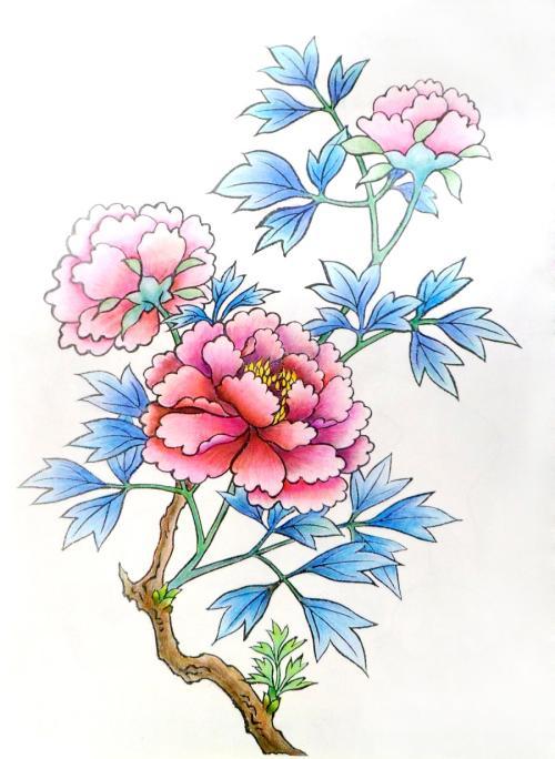 简笔画彩铅植物彩铅玫瑰花的简笔画树简笔画图片大全拍拍文库简笔画