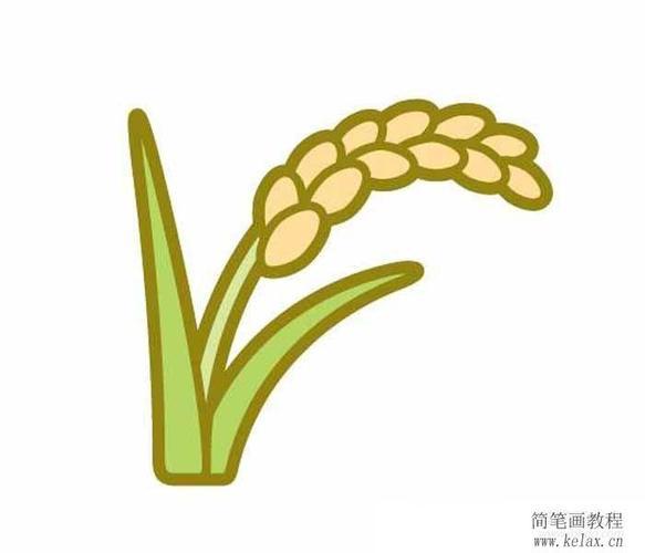 稻谷图片大全简笔画图片