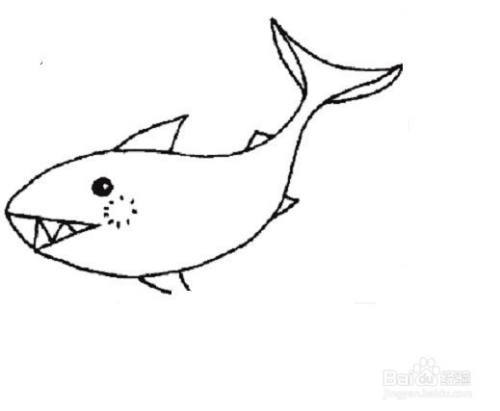 虎鲨简笔画